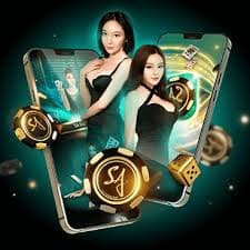 365kub fc